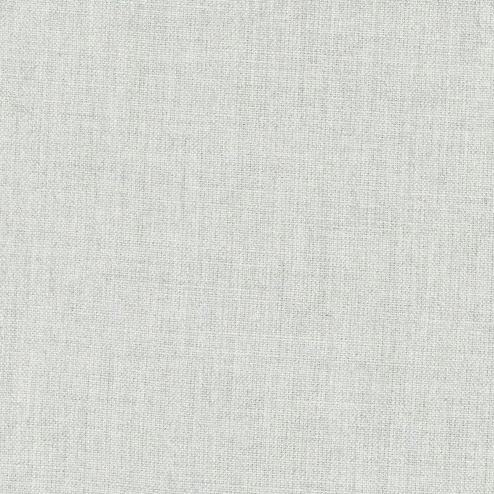 Aerial Stone by Carole Designer Fabric Pewter 100% Polyester India Passes 50,000 Double Rubs Wyzenbeek Horizontal: 0 and Vertical: 0 56 - Swanky Fabrics -