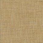 There For You Amber by Carole Designer Fabric Alliance 100% Polyester India None 55"" - Swanky Fabrics -