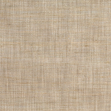 Prodigy Vintage Linen by Carole Designer Fabric Best Dressed 100% Polyester 30,000 Wyzenbeek Double Rubs None 55" - Swanky Fabrics -