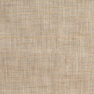 Prodigy Vintage Linen by Carole Designer Fabric