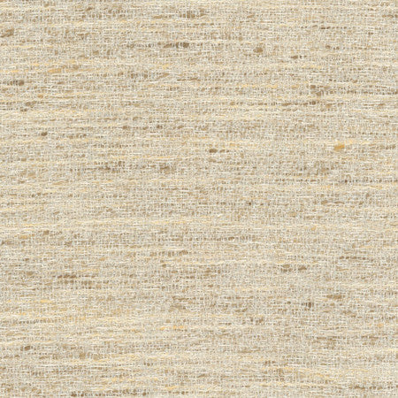 Pop Fly Ivory by Carole Designer Fabric Texture Theory,Let's Mingle 100% Polyester India None 57" - Swanky Fabrics -