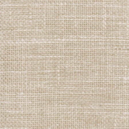Lazarus Alabaster by Carole Designer Fabric Prominence 54% Cotton, 46% Polyester India None 54" - Swanky Fabrics -