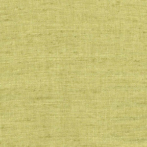 Training Day Lime by Carole Designer Fabric