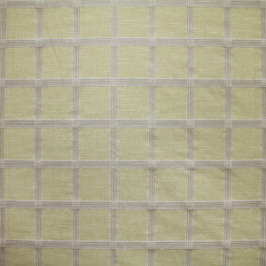 Best Man Pistachio by Carole Designer Fabric