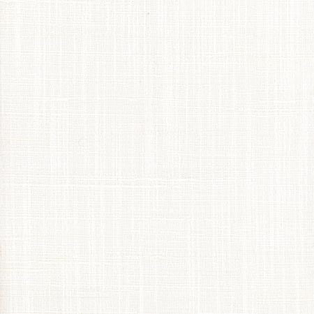 Totally Relaxed Off White by Carole Designer Fabric COME HOME 90% Polyester, 10% Cotton India None 54" - Swanky Fabrics -