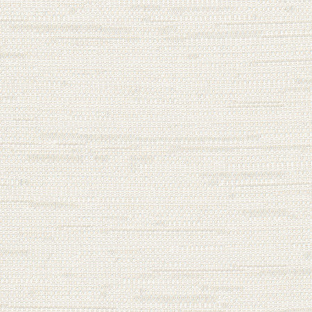 Cliff Top Alabaster by Carole Designer Fabric Excursion 66% Polyester, 34% Cotton India 36,000 Wyzenbeek Double Rubs None 56" - Swanky Fabrics -
