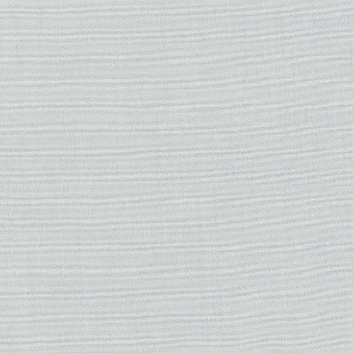 Tempt Sterling by Carole Designer Fabric Royale 100% IFR Polyester India Passes 45,000 Double Rubs Wyzenbeek Horizontal: 0 and Vertical: 0 54 - Swanky Fabrics -