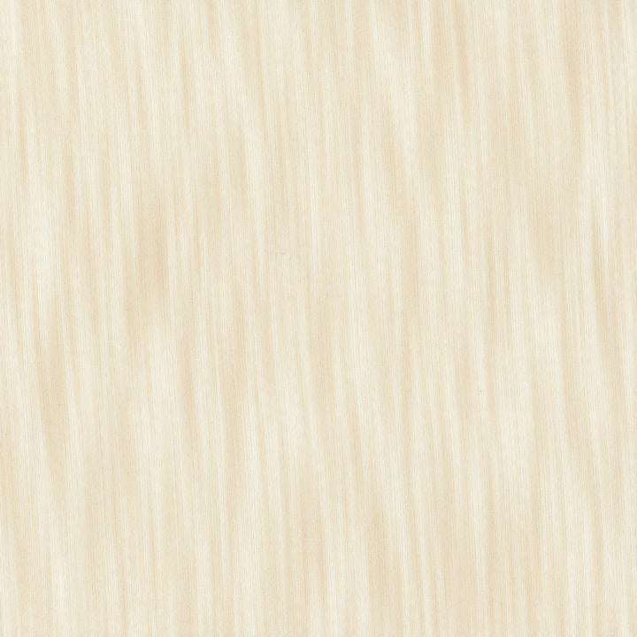 Main Street Sand by Carole Designer Fabric Sheer Structure 100% Polyester Turkey N/A Horizontal: 0 and Vertical: 0 118 - Swanky Fabrics -