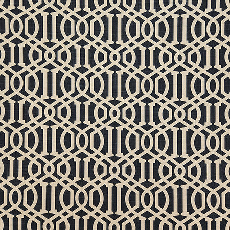 Cant Say No Black by Carole Designer Fabric Earth & Stone 70% Cotton, 30% Linen China 15,000 WYZENBEEK DOUBLE RUBS 8" V, 4 1/2" H HD 54" - Swanky Fabrics -
