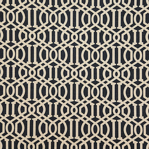 Cant Say No Black by Carole Designer Fabric