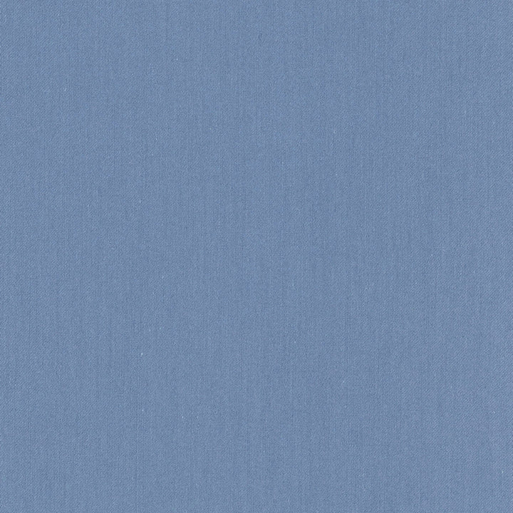 Comfort Coastal by Carole Designer Fabric Daydreaming 100% Cotton India Passes 21,000 Double Rubs Wyzenbeek Horizontal: 0 and Vertical: 0 54 - Swanky Fabrics -
