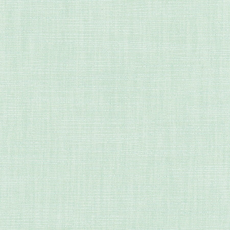Athlete Seafoam by Carole Designer Fabric Celadon 60% Cotton, 40% Polyester India Passes 50,000 Double Rubs Wyzenbeek None 55" - Swanky Fabrics -