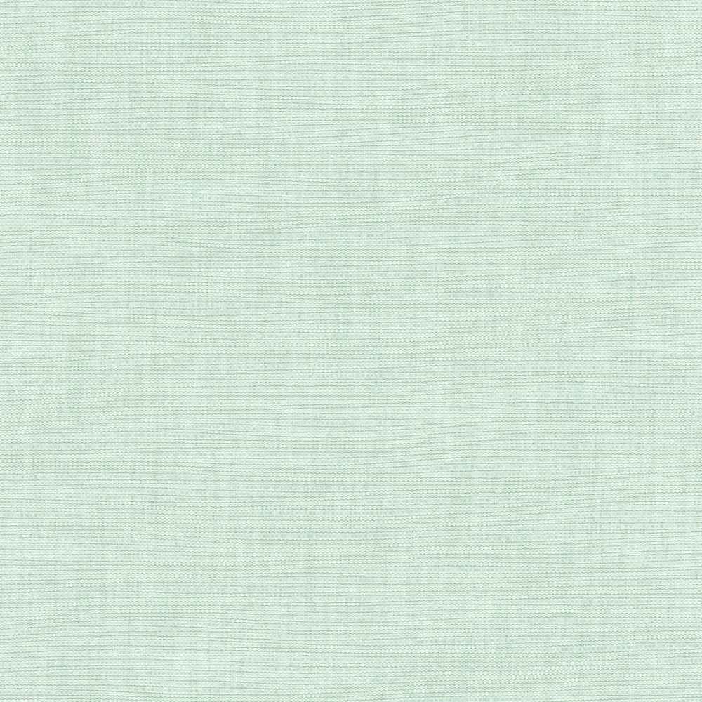 Athlete Seafoam by Carole Designer Fabric Celadon 60% Cotton, 40% Polyester India Passes 50,000 Double Rubs Wyzenbeek Horizontal: 0 and Vertical: 0 55 - Swanky Fabrics -