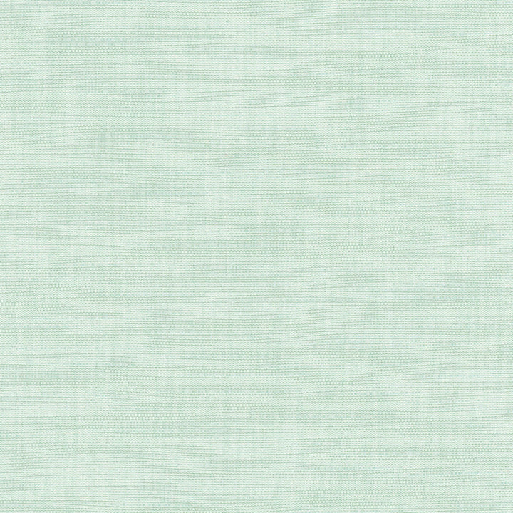 Athlete Seafoam by Carole Designer Fabric Celadon 60% Cotton, 40% Polyester India Passes 50,000 Double Rubs Wyzenbeek Horizontal: 0 and Vertical: 0 55 - Swanky Fabrics -