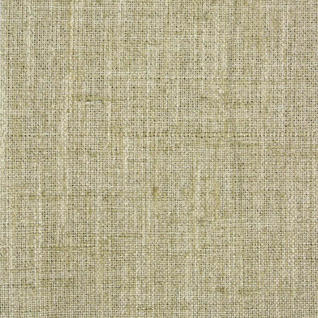 Consultant Aloe by Carole Designer Fabric Laguna 100% Polyester INDIA None 54" - Swanky Fabrics -