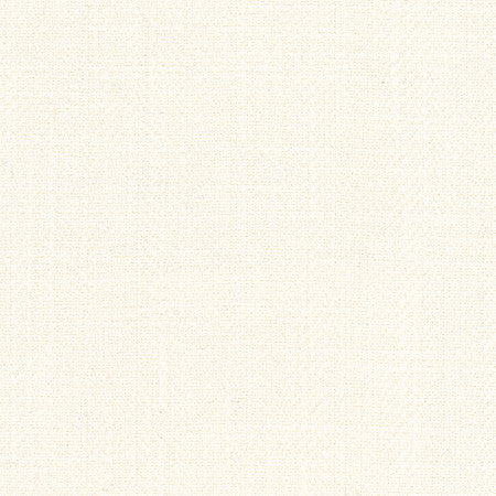 Fall Point Eggshell by Carole Designer Fabric On POint 43% Polyester, 19% Linen, 19% Cotton, 19% Rayon INDIA None 54" - Swanky Fabrics -