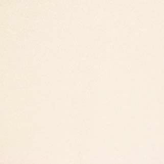 Early Frost Ivory by Carole Designer Fabric Pure & Simple 100% POLYESTER TURKEY N/A </p><p>Repeat: NONE 118" - Swanky Fabrics -