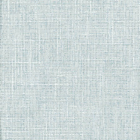 Adjuster Vapor by Carole Designer Fabric Laguna 62% Polyester, 32% Cotton, 6% Viscose INDIA 27,000 Wyzenbeek Double Rubs None 54" - Swanky Fabrics -