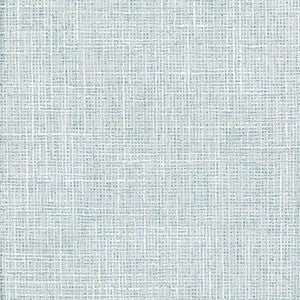 Adjuster Vapor by Carole Designer Fabric