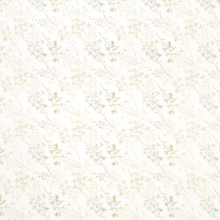 Jealous Cashmere by Carole Designer Fabric Haven 52% Cotton, 48% Polyester India Passes 30,000 Double Rubs Wyzenbeek Horizontal: 1025 and Vertical: 9 52 - Swanky Fabrics -