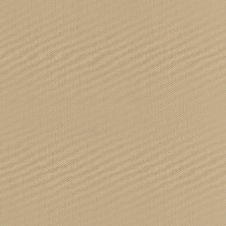 Daydreamer Khaki by Carole Designer Fabric Daydreamer III,Daydreaming 100% Cotton, Soil & Stain Release USA Passes 30,000 Double Rubs Wyzenbeek NONE 54" - Swanky Fabrics -