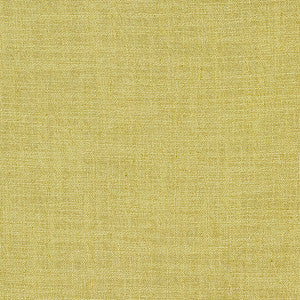 Resourceful Citron by Carole Designer Fabric