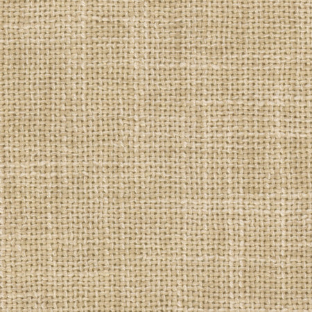 Stanbridge Sand by Carole Designer Fabric Enterprise 100% Polyester India 36,000 Wyzenbeek Double Rubs None 54" - Swanky Fabrics -