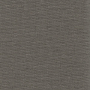 Daydreamer Gunmetal by Carole Designer Fabric