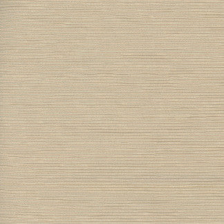 First Novel Wafer by Carole Designer Fabric STATIONERY 72% Rayon, 28% Polyester China None 55" - Swanky Fabrics -