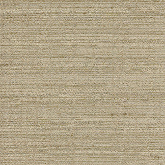 Dacosta Taupe by Carole Designer Fabric Ambassadors 100% Polyester India N/A </p><p>Repeat: NONE 56" - Swanky Fabrics -