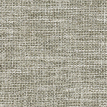 Lazarus Willow by Carole Designer Fabric Prominence 54% Cotton, 46% Polyester India None 54" - Swanky Fabrics -