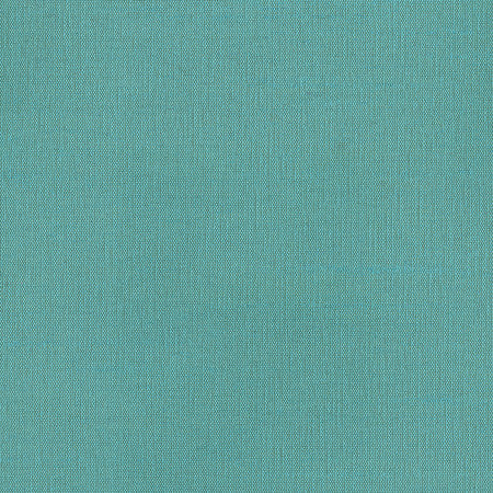 Succulent Cerulean by Carole Designer Fabric Succulent II 100% Polyester India N/A Horizontal: None and Vertical: None 54" - Swanky Fabrics -