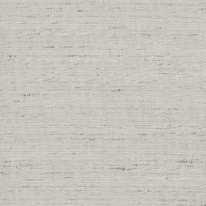 Foreseeable Platinum by Carole Designer Fabric Pewter 100% Polyester India N/A Horizontal: 0 and Vertical: 0 54 - Swanky Fabrics -