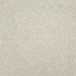 Stargazer Granite by Carole Designer Fabric
