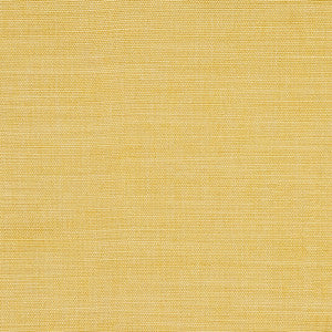 Boardroom Dandelion by Carole Designer Fabric