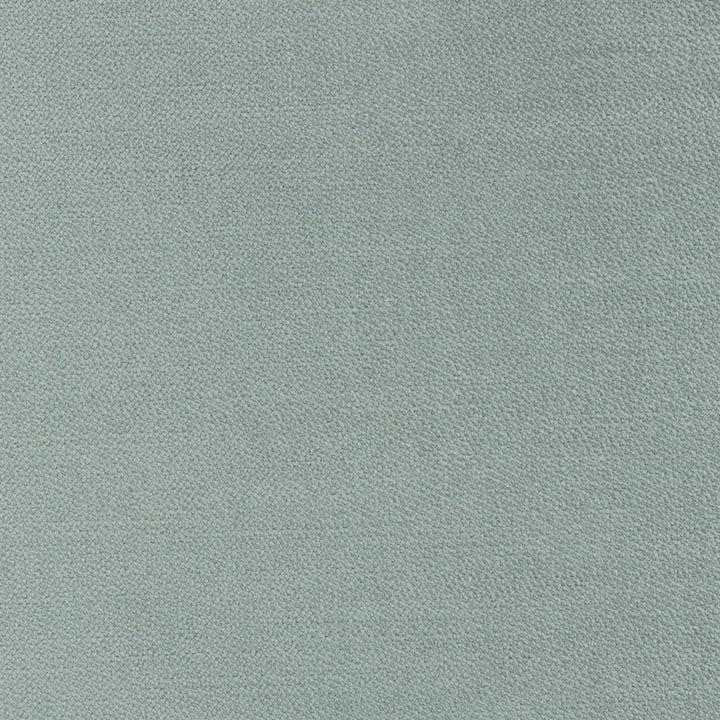 Regal Touch Lichen by Carole Designer Fabric Touch Of Luxury 100% Polyester Turkey 15,000 Wyzenbeek Double Rubs Horizontal: 0 and Vertical: 0 55 - Swanky Fabrics -