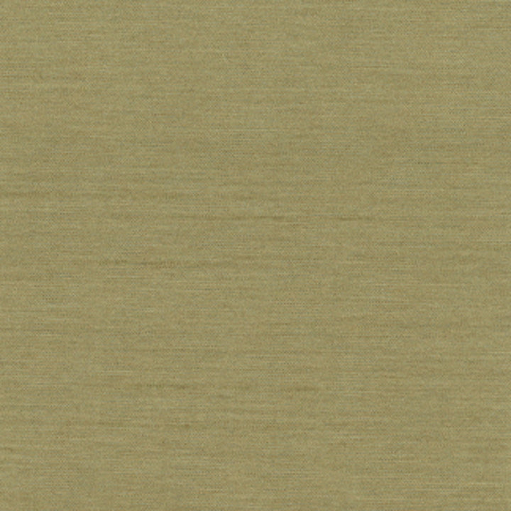 Northwind Sage by Carole Designer Fabric New Northwind Iv 100% Polyester India Passes 9,000 Double Rubs Wyzenbeek Horizontal: 0 and Vertical: 0 54 - Swanky Fabrics -