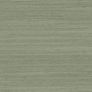 Discreet Silver Sage by Carole Designer Fabric Distinct Drapery,Delight 100% POLYESTER INDIA Passes 20,000 Double Rubs Wyzenbeek </p><p>Repeat: NONE 55" - Swanky Fabrics -