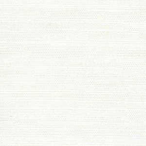 Aiden Off White by Carole Designer Fabric