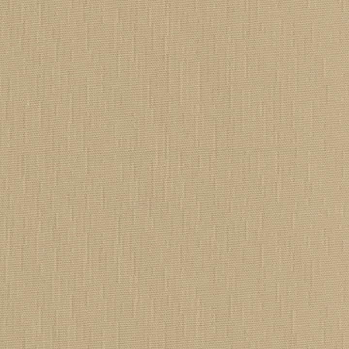 Daydreamer Khaki by Carole Designer Fabric Daydreaming 100% Cotton- Soil Release USA Passes 30,000 Double Rubs Wyzenbeek Horizontal: 0 and Vertical: 0 54 - Swanky Fabrics -