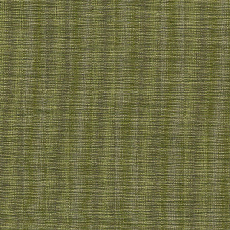 Optimism Forest by Carole Designer Fabric Synchrony,Power Play 100% IFR Polyester 5,000 Wyzenbeek Double Rubs None 54" - Swanky Fabrics -