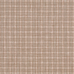 Newsworthy Acorn by Carole Designer Fabric