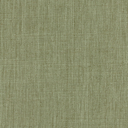 Intention Viridian by Carole Designer Fabric Head Start 100% Polyester Taiwan 25,000 Wyzenbeek Double Rubs None 54" - Swanky Fabrics -