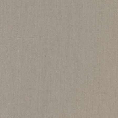 Comfort Seal by Carole Designer Fabric Daydreaming 100% Cotton India Passes 21,000 Double Rubs Wyzenbeek None 54" - Swanky Fabrics -