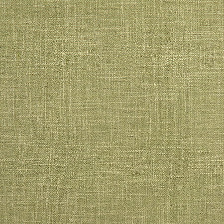 Astounding Apple by Carole Designer Fabric Best Dressed 53% Cotton, 47% Polyester 15,000 Wyzenbeek Double Rubs None 54" - Swanky Fabrics -