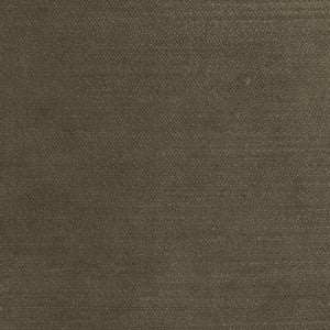 Cool Touch Rich Brown by Carole Designer Fabric