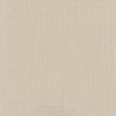 Narration Beach Sand by Carole Designer Fabric NARRATOR 100% Polyester Mexico None 54" - Swanky Fabrics -