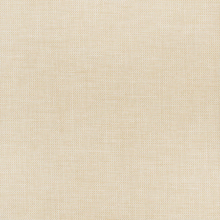 Glisten Blackout White by Carole Designer Fabric For The Window 100% Polyester- 3 Pass Fr Acrylic Backing Blackout India N/A </p><p>Repeat: None 54" - Swanky Fabrics -