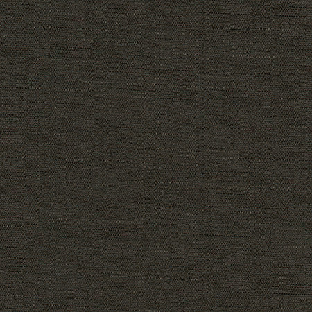 Cortland Onyx by Carole Designer Fabric Gala 100% Polyester India 30,000 WYZENBEEK DOUBLE RUBS None 54.75" - Swanky Fabrics -