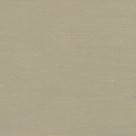 Rumi Almond by Carole Designer Fabric Gala 100% Polyester India None 54" - Swanky Fabrics -